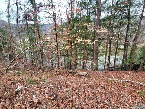 458 County Road 4036, Arley, AL 35541