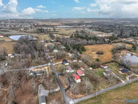 View/Area - 2270 Randles Rd, Grant, AL 35747 photo 3 of 4