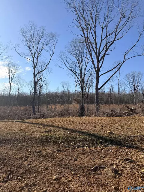 lot9 County Road 641, Mentone, AL 35984