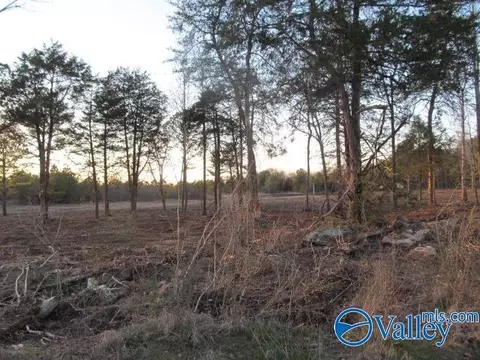 12 Hogs Ln, Albertville, AL 35951