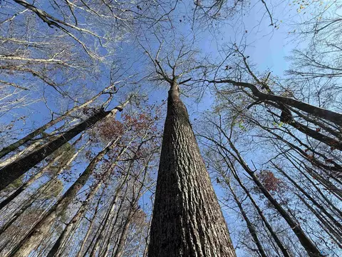 23 Ac Tabor Rd, Gadsden, AL 35904