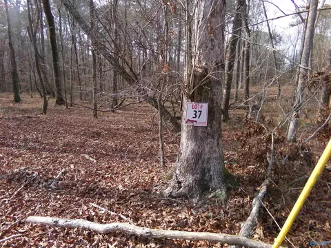 lot37 County Road 243, Cedar Bluff, AL 35959