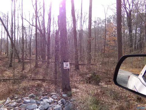 lot39 County Road 243, Cedar Bluff, AL 35959