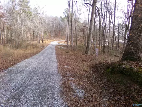 lot41 County Road 243, Cedar Bluff, AL 35959