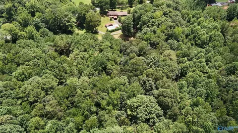 22 Acres Gandys Cove Rd, Falkville, AL 35622