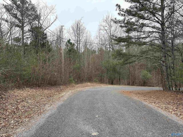 lot S 3031 Chawnee Cir, Scottsboro, AL 35768