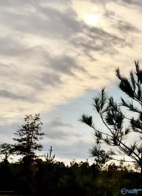 lot4 County Road 39, Piedmont, AL 36272