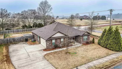 100 Beaver Brook Pl, Toney, AL 35773