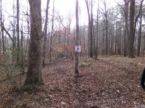 lot40 County Road 243, Cedar Bluff, AL 35959