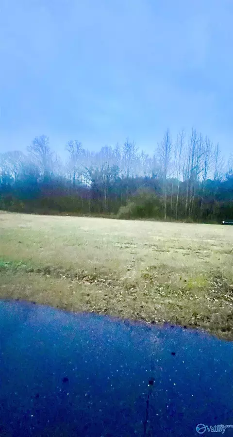 lot1 Holcomb Rd, Guntersville, AL 35976