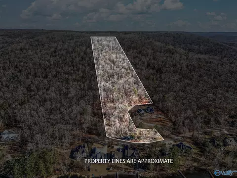 lot5 White Elephant Rd, Grant, AL 35747