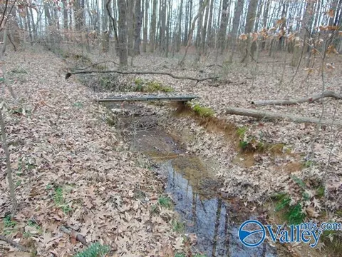 11 Bobo Section Rd, Hazel Green, AL 35750