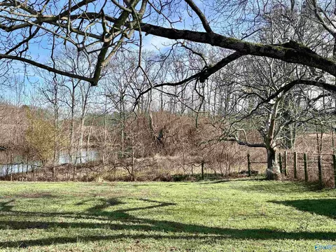 577 Strange Rd, Horton, AL 35980
