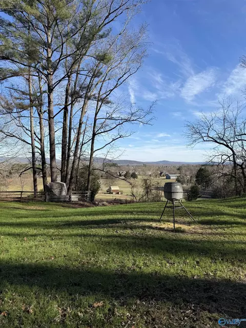 226 Walter Bird Dr, Owens Cross Roads, AL 35763