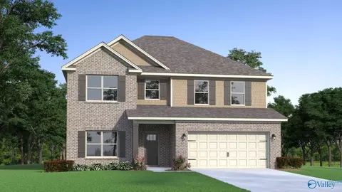 175 Saddle St, New Market, AL 35761