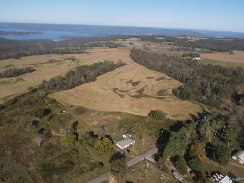 View/Area - 4544 County Road 44, Section, AL 35771 photo 2 of 2