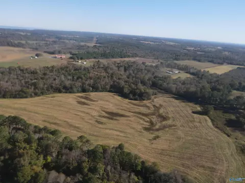 Other - 4544 County Road 44, Section, AL 35771 photo 5 of 5