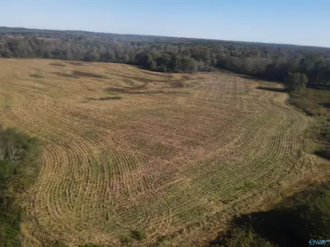 Other - 4544 County Road 44, Section, AL 35771 photo 4 of 5