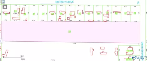 7 31 Acres Bo Howard Rd, Toney, AL 35773