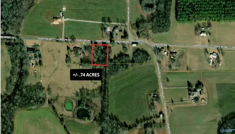 74 Acres County Road 343, Russellville, AL 35654