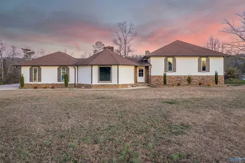 407 Bay Point Dr, Rainbow City, AL 35906