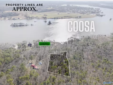3 42 Acres Lister Ferry Rd, Rainbow City, AL 35906