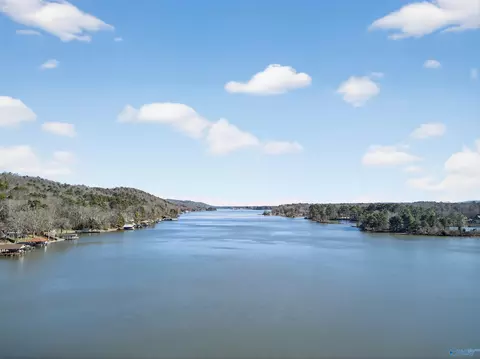0 73 Acres Lister Ferry Rd, Rainbow City, AL 35906