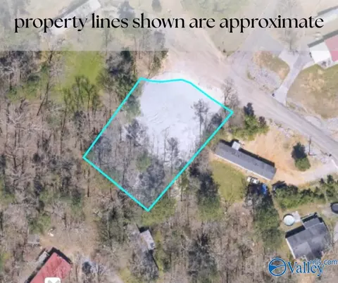 61 Hartsfield Dr, Steele, AL 35987