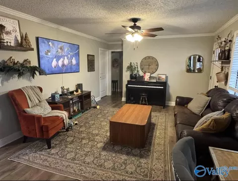 Other - 91 Gurley Cir, Section, AL 35771 photo 1 of 6
