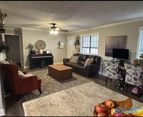 Other - 91 Gurley Cir, Section, AL 35771 photo 2 of 6