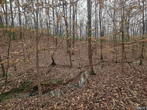 013 Toney Dr, Attalla, AL 36950