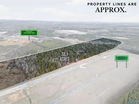 38 1 Acres Steele Station Rd, Steele, AL 35987 photo 3