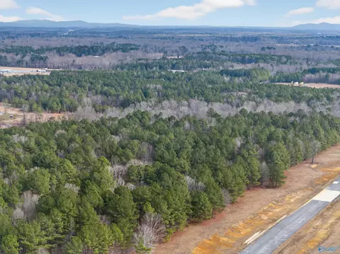 38 1 Acres Steele Station Rd, Steele, AL 35987 photo 5