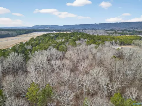 38 1 Acres Steele Station Rd, Steele, AL 35987 photo 6