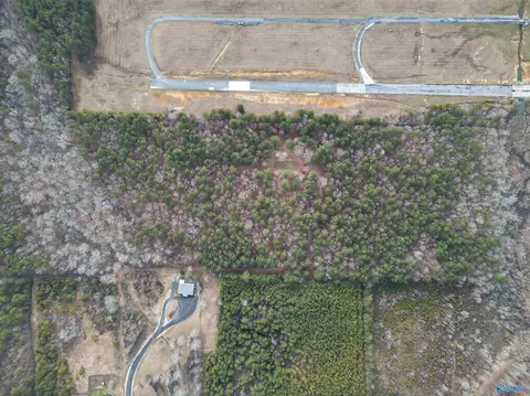 38 1 Acres Steele Station Rd, Steele, AL 35987 photo 4