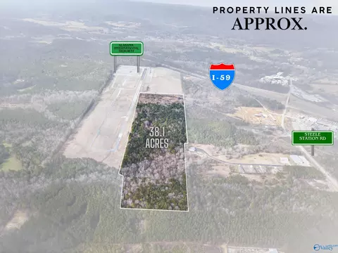 38 1 Acres Steele Station Rd, Steele, AL 35987 photo 2