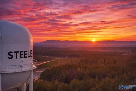 38 1 Acres Steele Station Rd, Steele, AL 35987