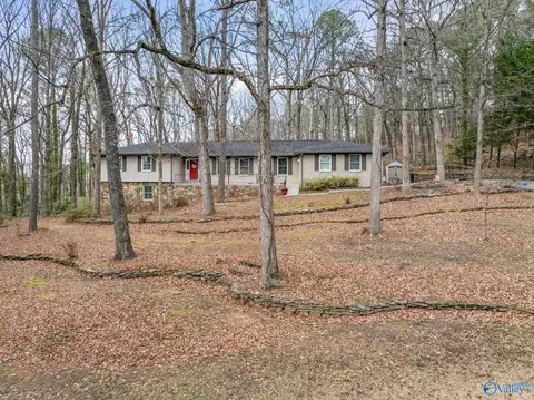 2806 Burningtree Mountain Rd, Decatur, AL 35603