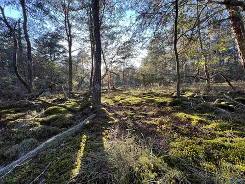 3 Ac County Road 52, Cedar Bluff, AL 35959