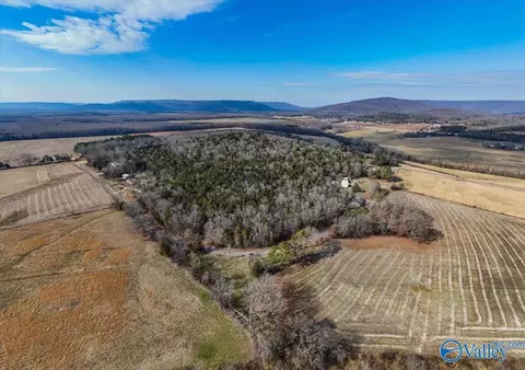 7 58 Acres-lot1 County Road 214, Woodville, AL 35776