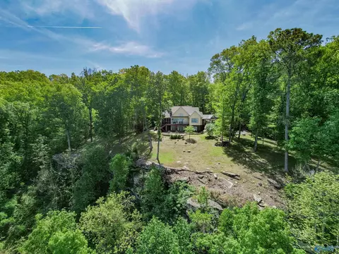Exterior - 1116 County Road 224, Dutton, AL 35744 photo 3 of 12