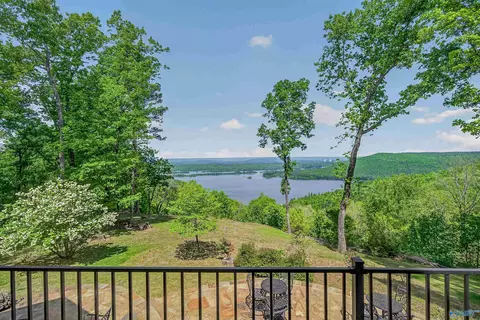 View/Area - 1116 County Road 224, Dutton, AL 35744 photo 3 of 4