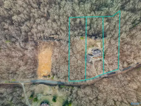 View/Area - 1116 County Road 224, Dutton, AL 35744 photo 4 of 5