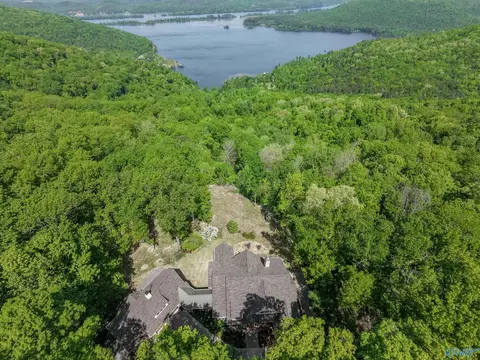 View/Area - 1116 County Road 224, Dutton, AL 35744 photo 1 of 4