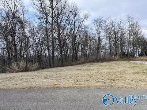 151 Ledge View Dr, Huntsville, AL 35802