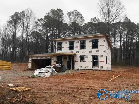 18836 Holt Rd, Athens, AL 35613