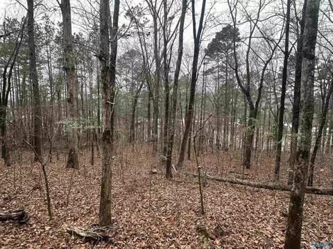 0 62 Riddles Bend Rd, Rainbow City, AL 35906