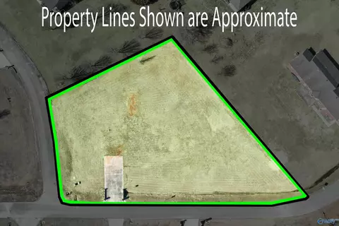 70 County Road 498, Trinity, AL 35673 photo 17