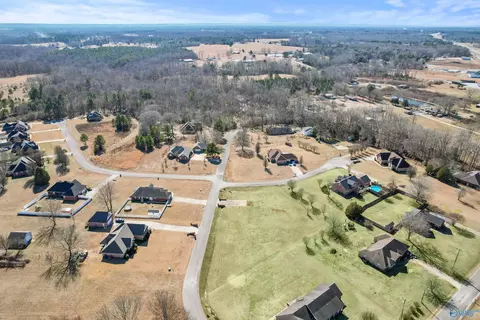 70 County Road 498, Trinity, AL 35673 photo 13