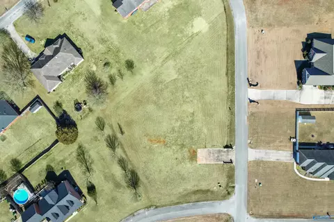 70 County Road 498, Trinity, AL 35673 photo 10
